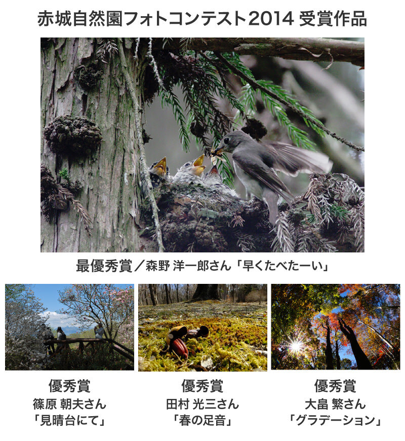photo_contest