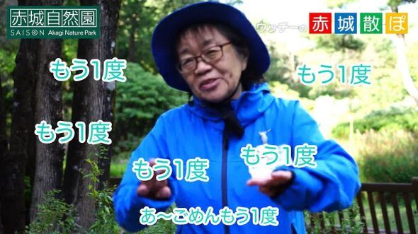 sanpo0