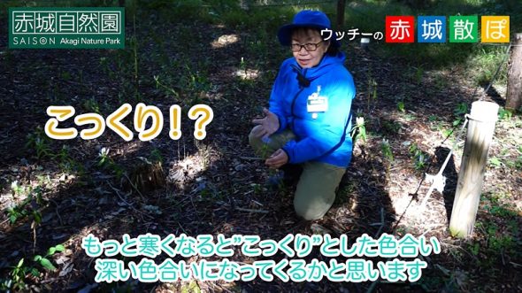 sanpo1