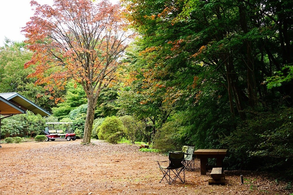 園内風景 | 今日の赤城自然園 | 赤城自然園