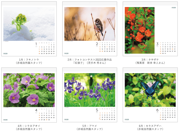 スクリーンショット 2025-08-18 145230