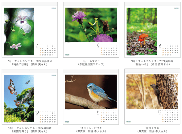 スクリーンショット 2025-08-18 145316