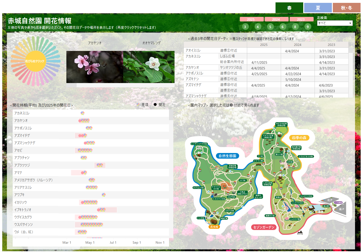 開花情報ページ公開のお知らせ | お知らせ | 赤城自然園