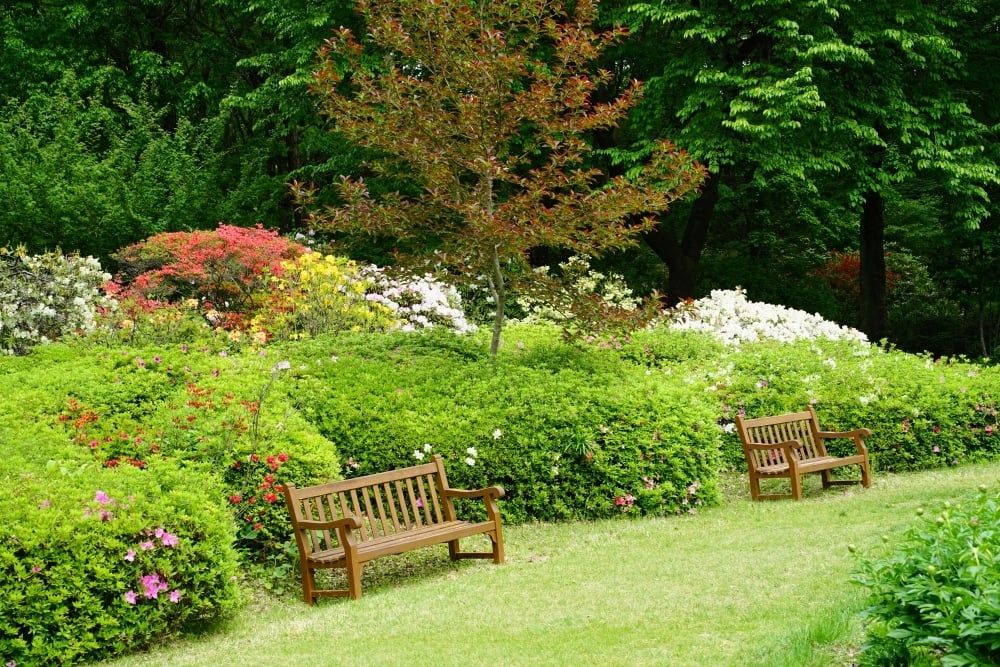 DSC00731