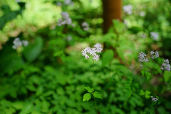DSC02140