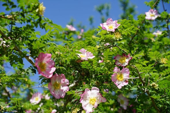 DSC02199
