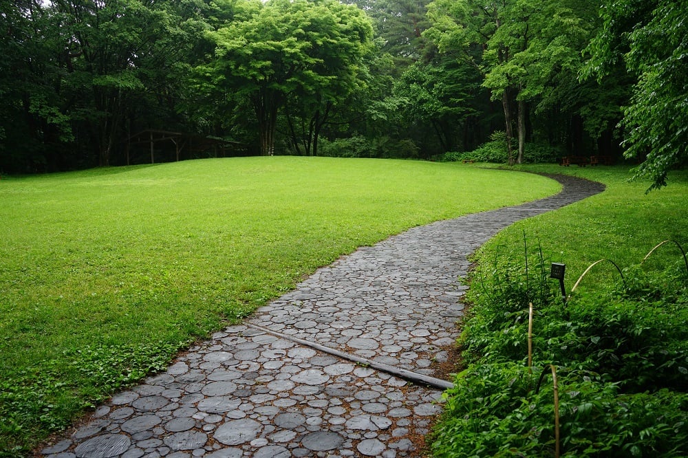 DSC02423
