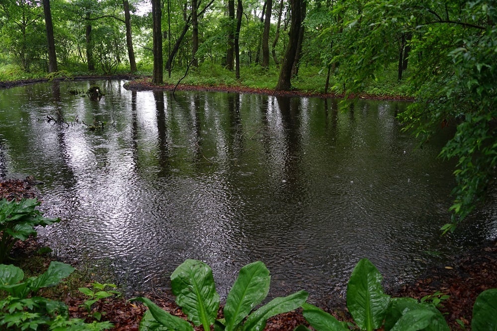 DSC02449