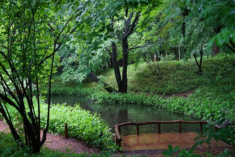 DSC02454