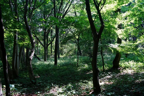 DSC03345