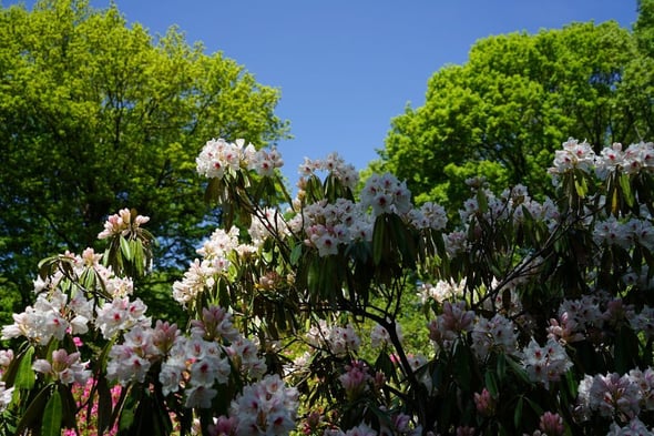 DSC03887