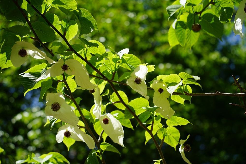 DSC03901