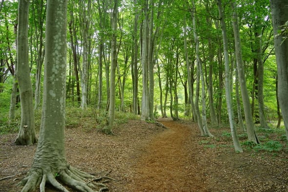 DSC04210