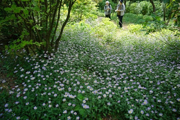 DSC04222