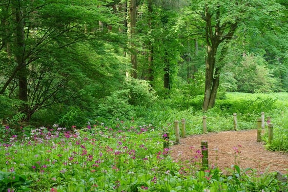 DSC04262