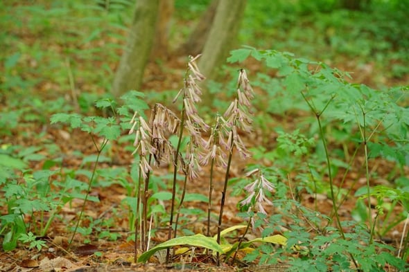 DSC04305