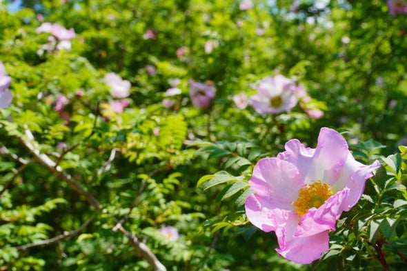 DSC04400