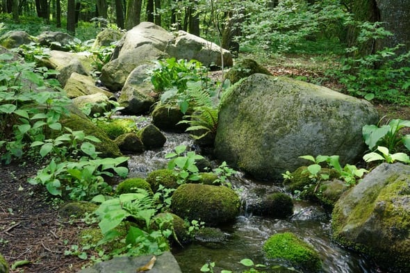 DSC04450