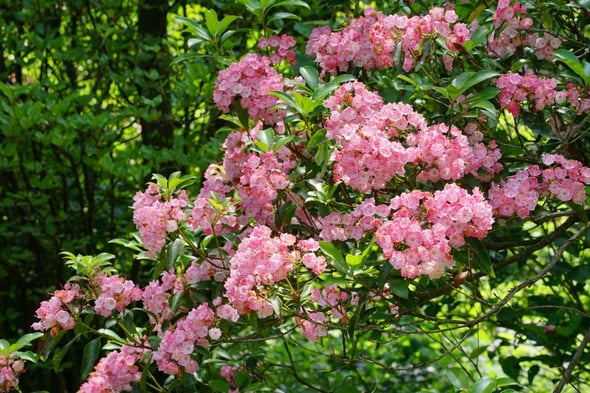 DSC04461