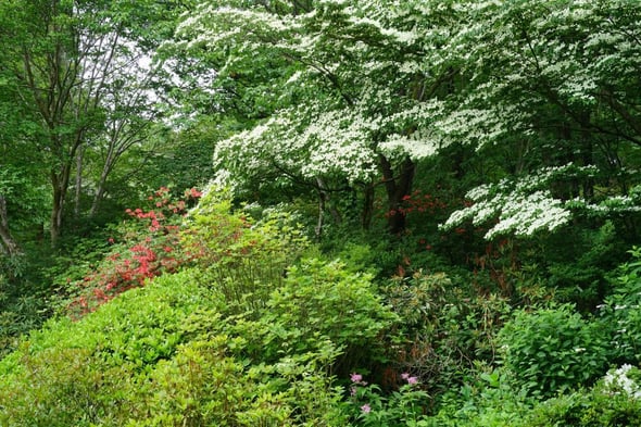 DSC04464