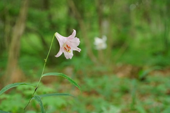 DSC04481