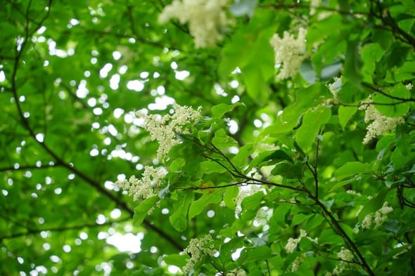 DSC04489