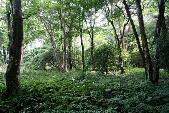 DSC04507