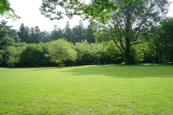 DSC04528