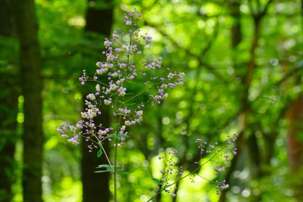 DSC04535