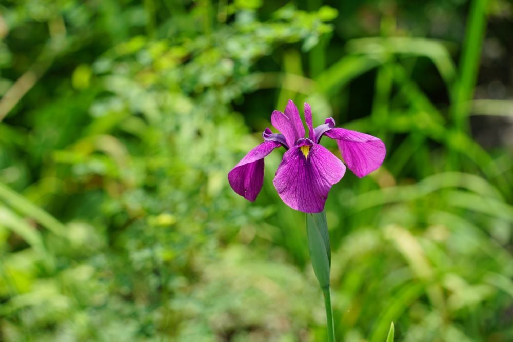 DSC04561
