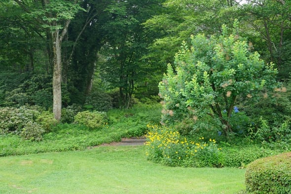 DSC04822