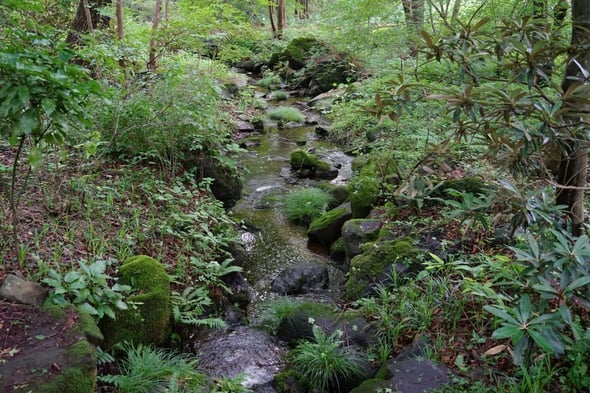 DSC04903