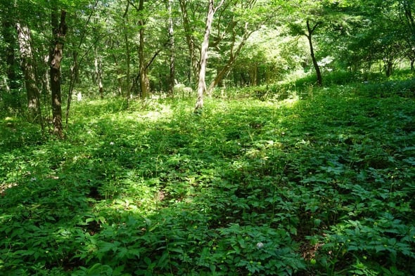 DSC04952