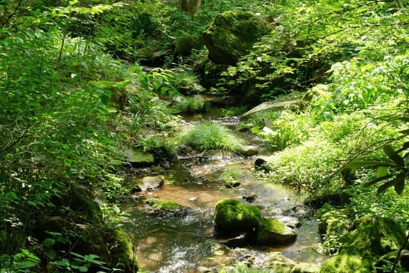 DSC05100