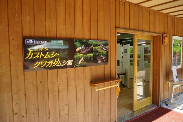DSC05101