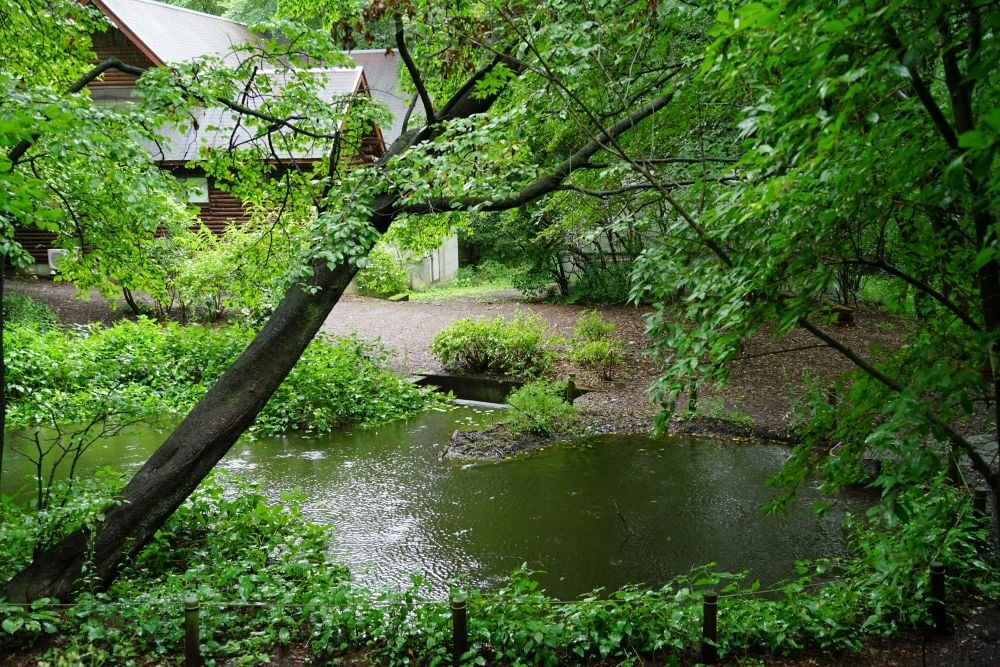 DSC05356