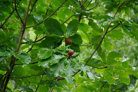 DSC05362