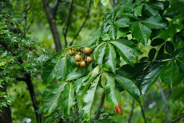 DSC05390