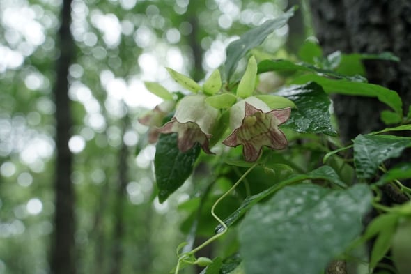 DSC05455-1