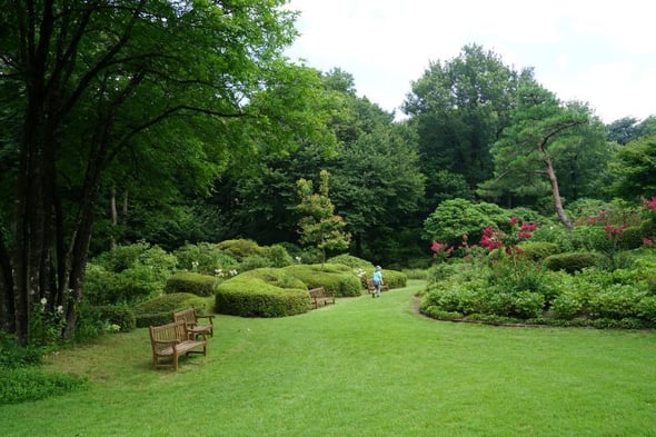 DSC05470