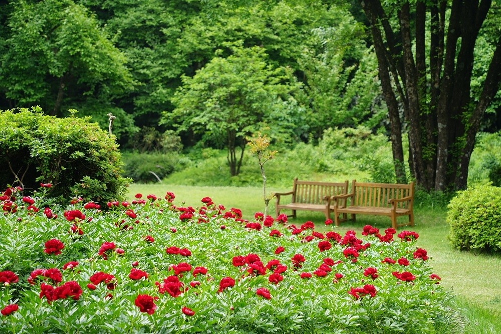 園内風景 | 今日の赤城自然園 | 赤城自然園