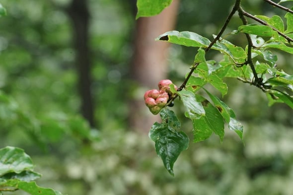 DSC05720