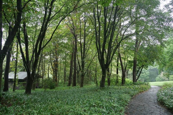 DSC05730