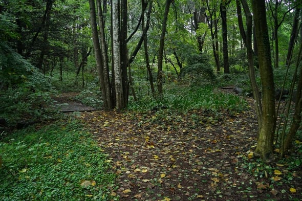 DSC05737