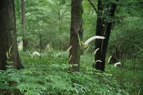 秋の長雨