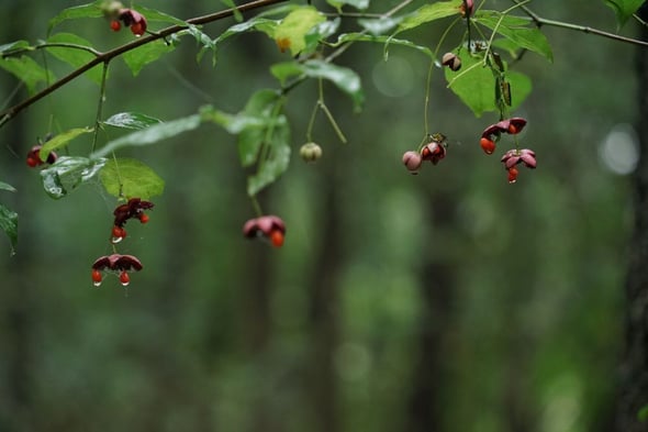 DSC05942