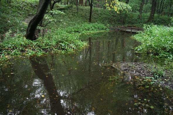 DSC05961-1