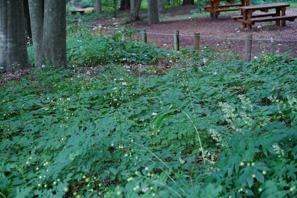 DSC05961