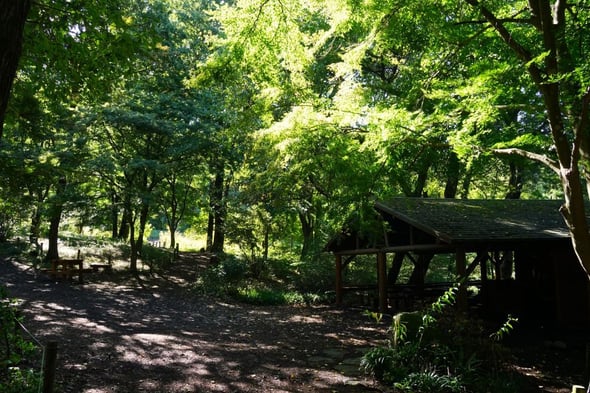 DSC06000