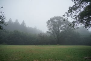 晴れ間を待ちながら